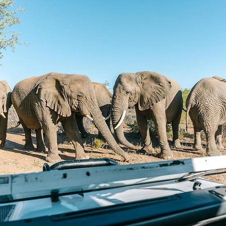 Omaruru Game Lodge 外观 照片