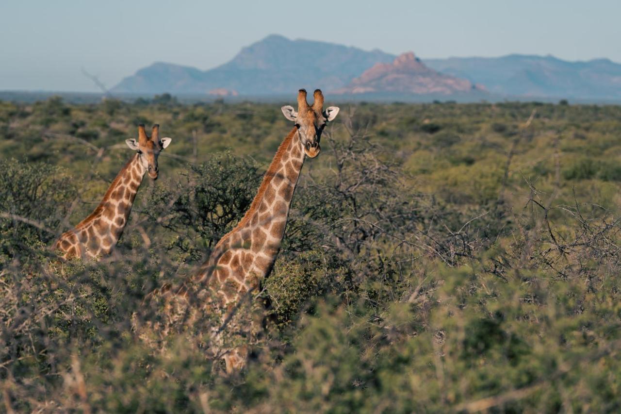 Omaruru Game Lodge 外观 照片