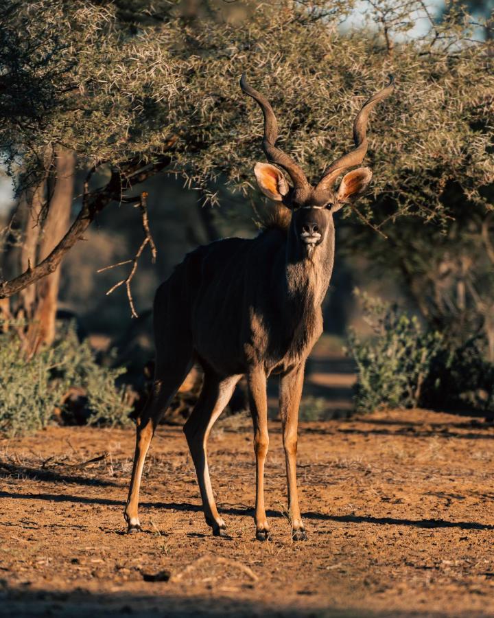 Omaruru Game Lodge 外观 照片