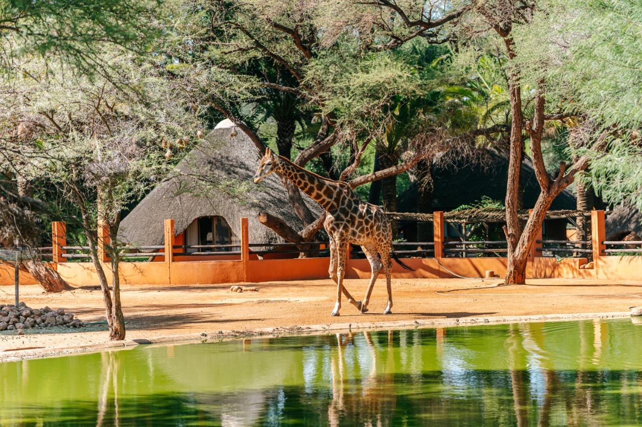 Omaruru Game Lodge 外观 照片