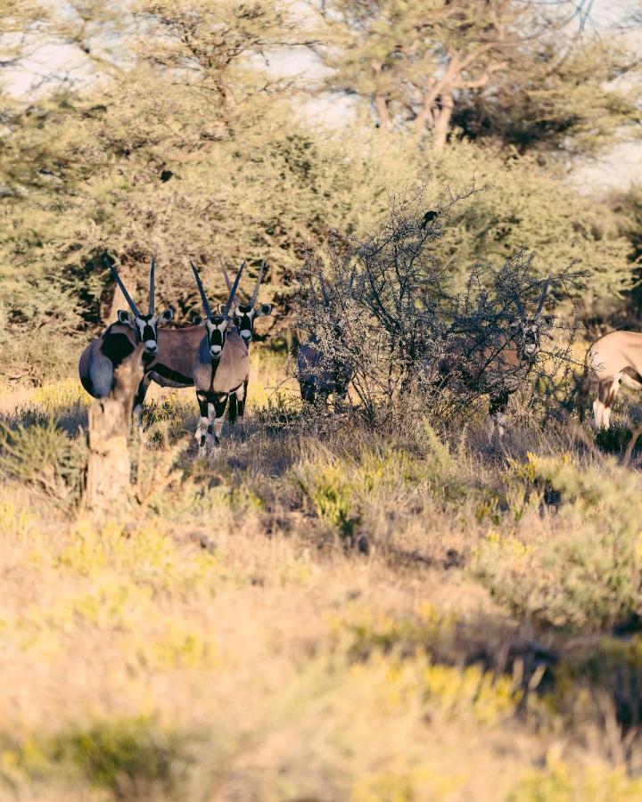 Omaruru Game Lodge 外观 照片