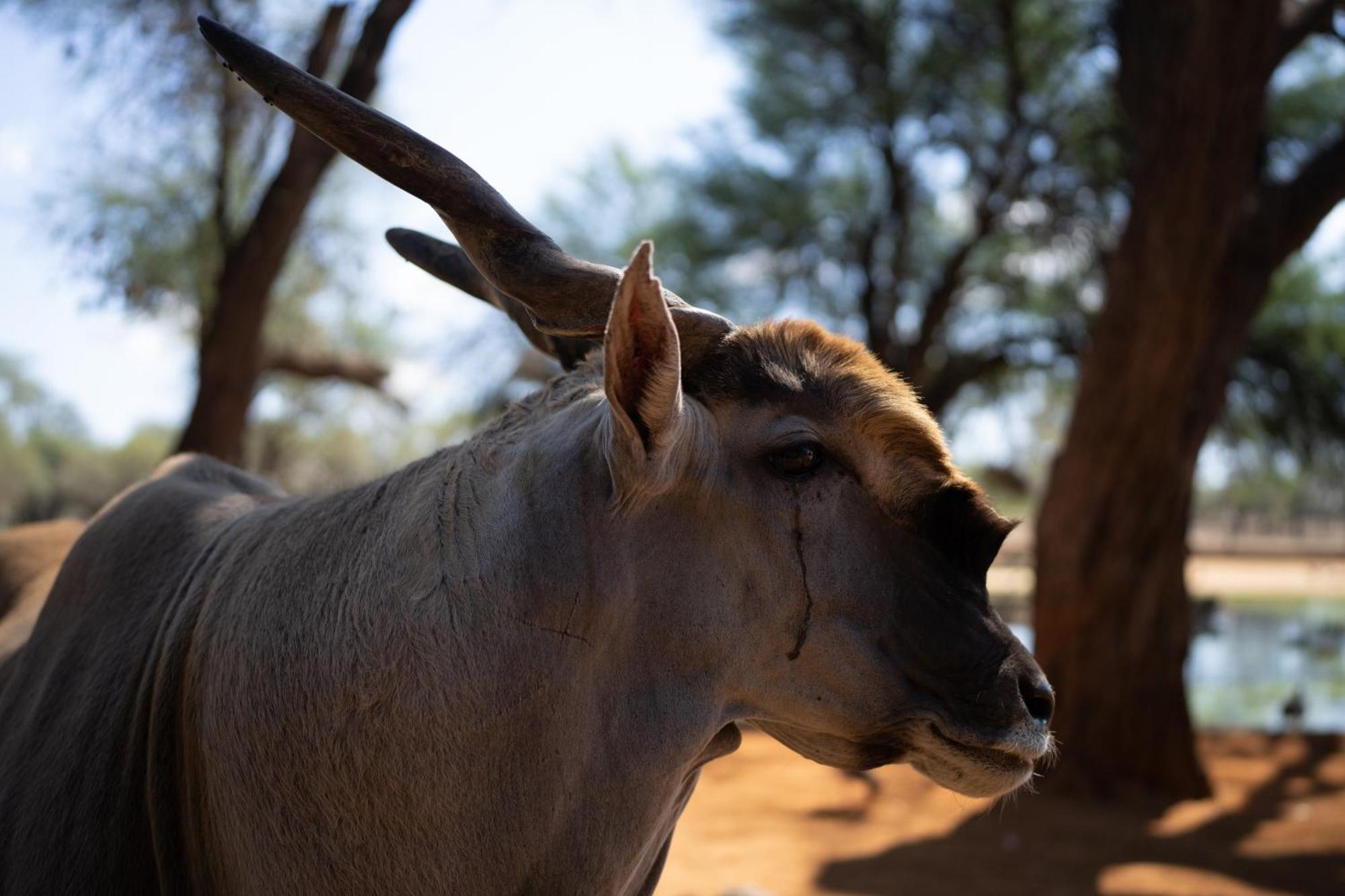 Omaruru Game Lodge 外观 照片