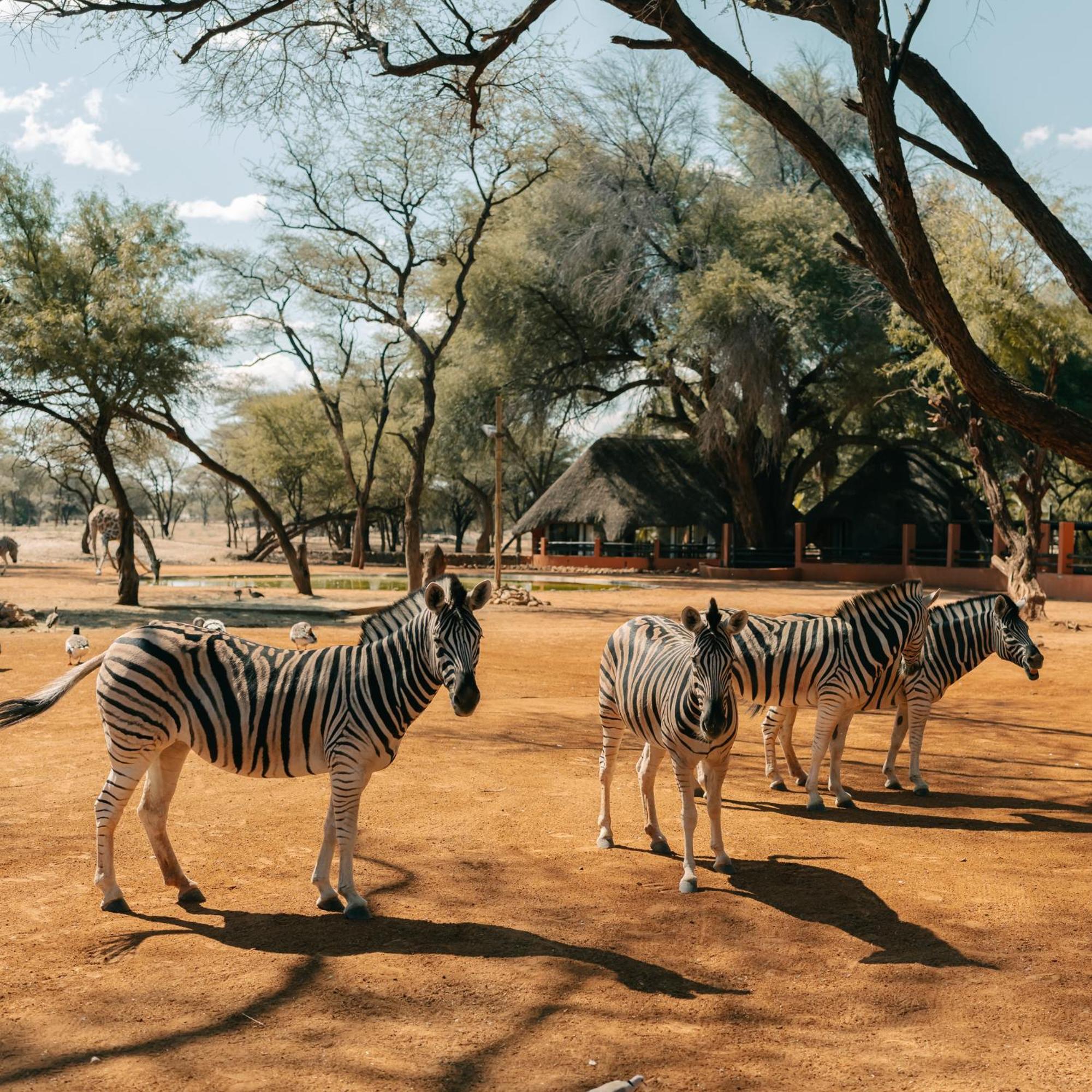 Omaruru Game Lodge 外观 照片