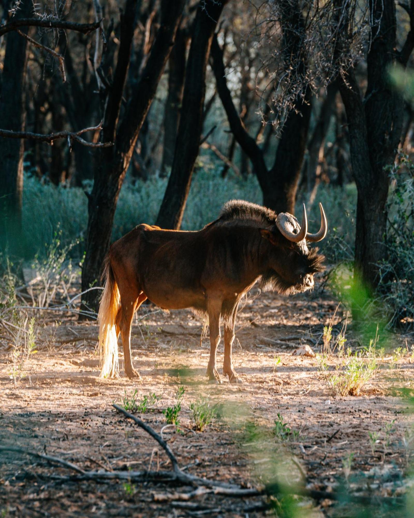 Omaruru Game Lodge 外观 照片