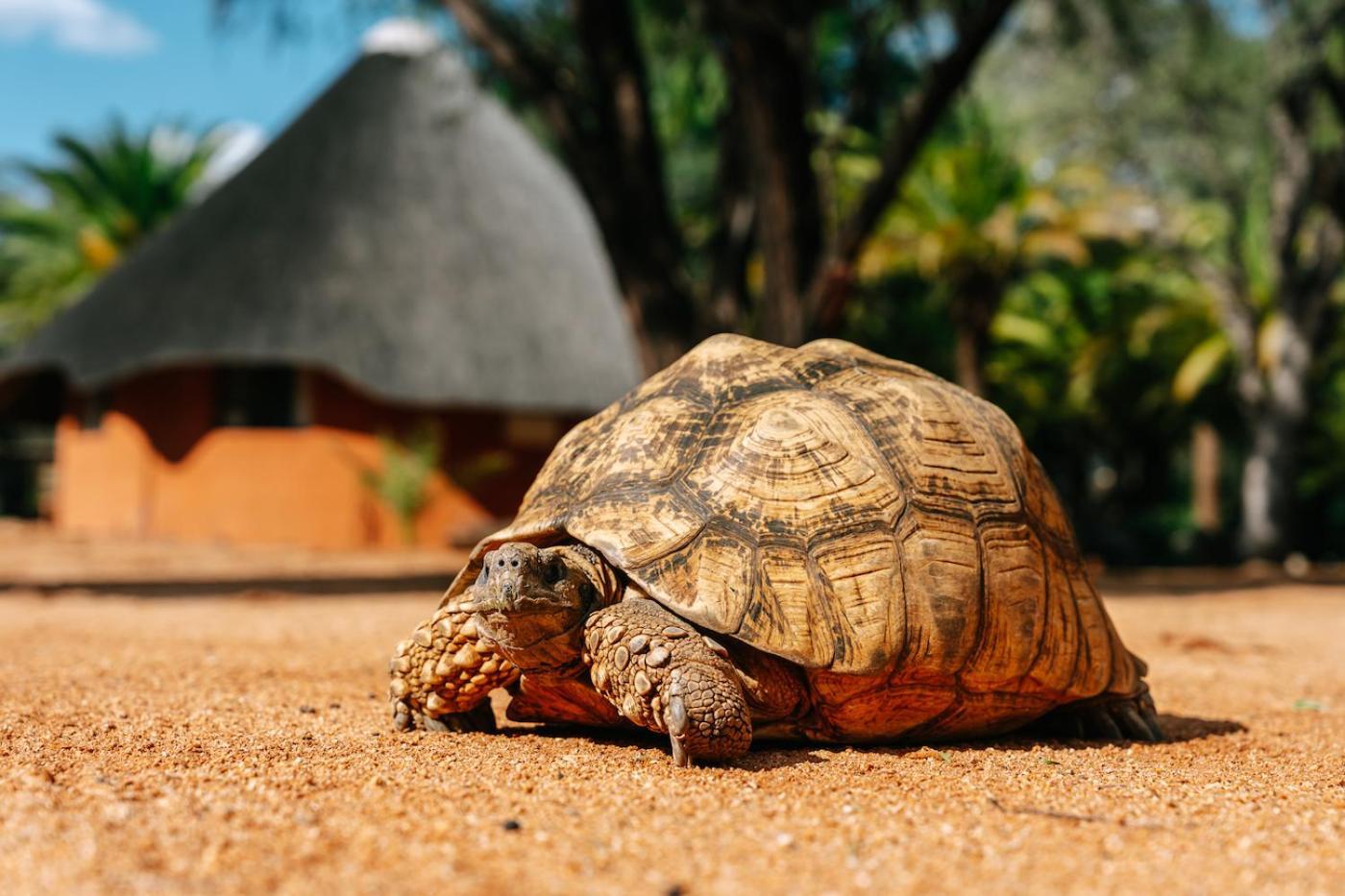 Omaruru Game Lodge 外观 照片